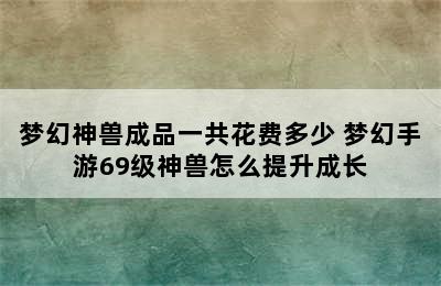 梦幻神兽成品一共花费多少 梦幻手游69级神兽怎么提升成长